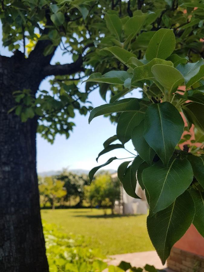 Appartamenti Ca'Melia Sarzana Esterno foto