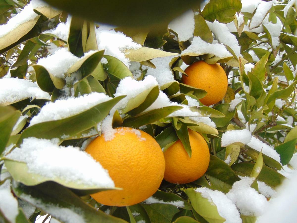 Appartamenti Ca'Melia Sarzana Esterno foto
